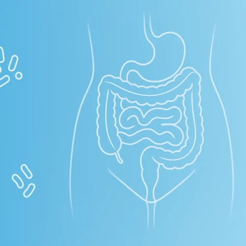 Probiotykoterapia i suplementacja w terapii dna miednicy - webinar online